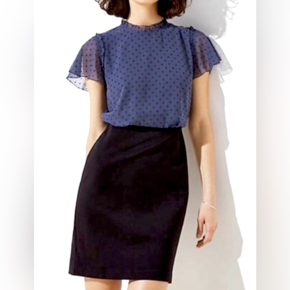 LOFT Black and Blue Swiss Dot Knee Length Dress - Picture 5 of 5